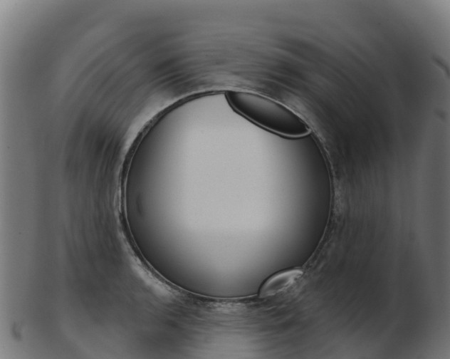 X0000103461136200809121051