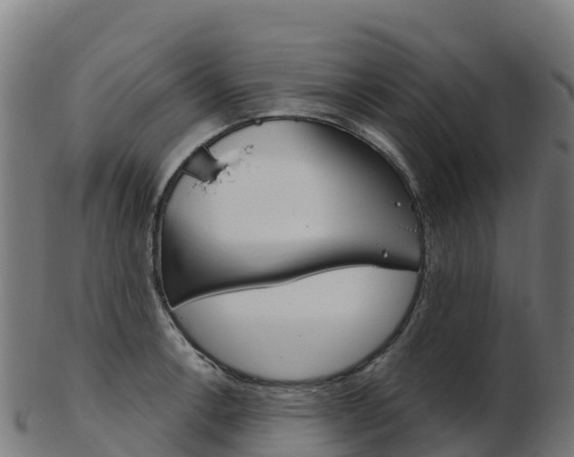 X0000103461138200809121051
