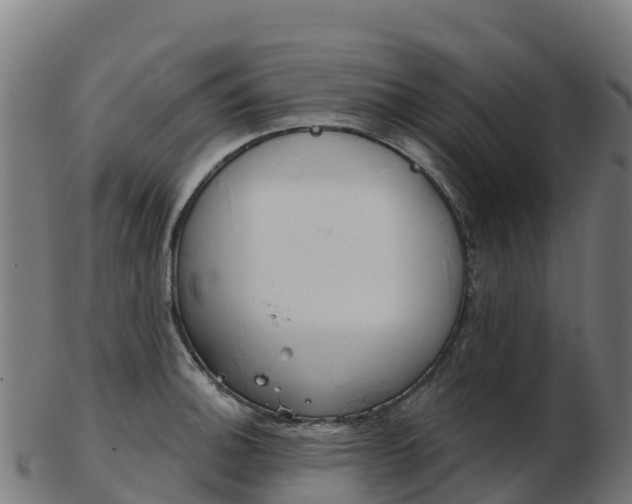 X0000103461140200809121051
