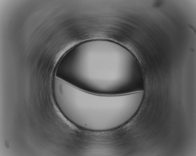X0000103461142200809121052