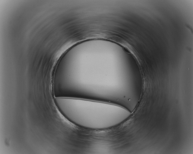 X0000103461143200809121052