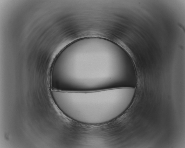 X0000103461144200809121052