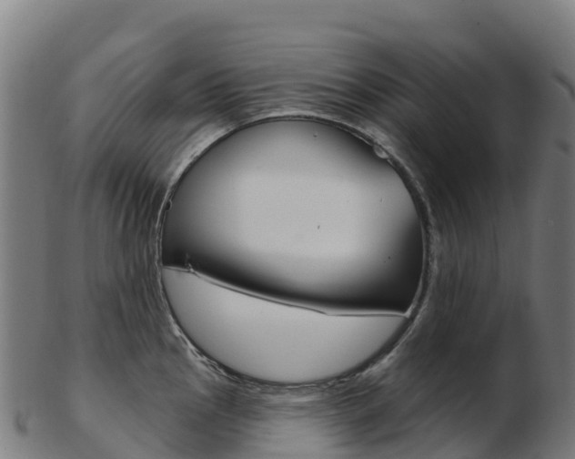 X0000103461145200809121052