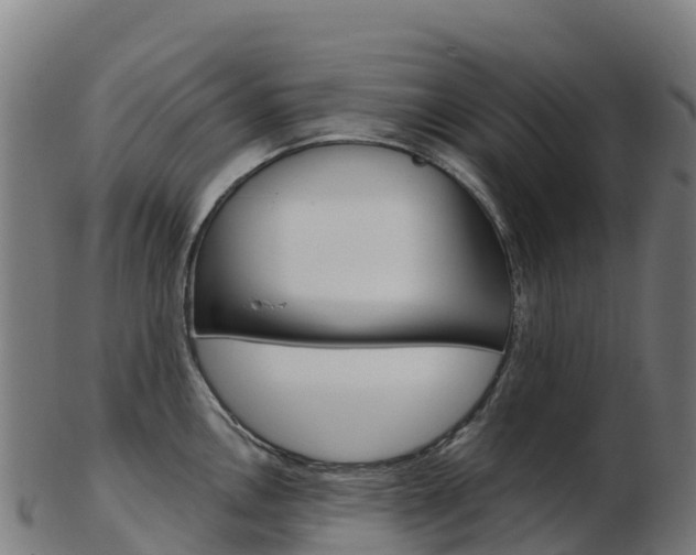 X0000103461146200809121052
