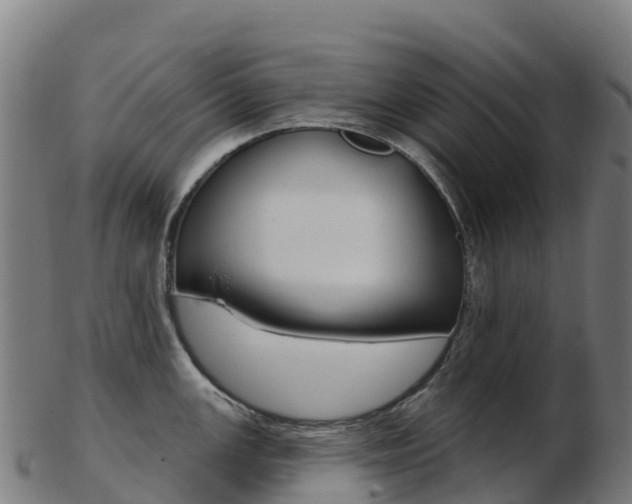 X0000103461147200809121052
