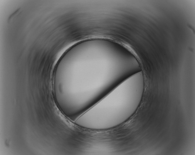 X0000103461148200809121052