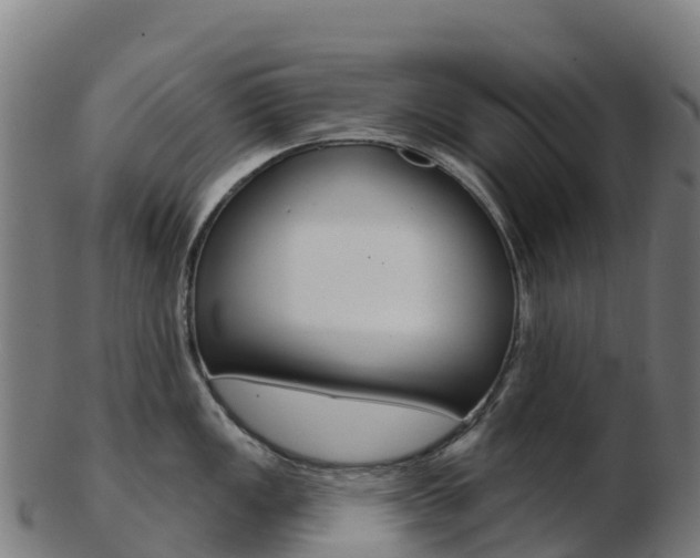 X0000103461149200809121052