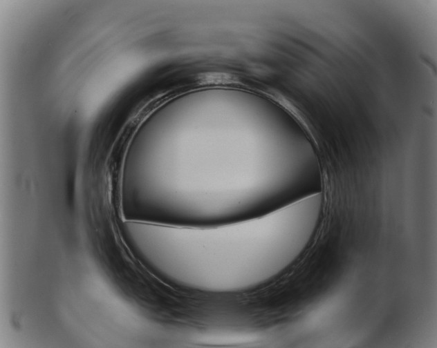 X0000103461151200809121052
