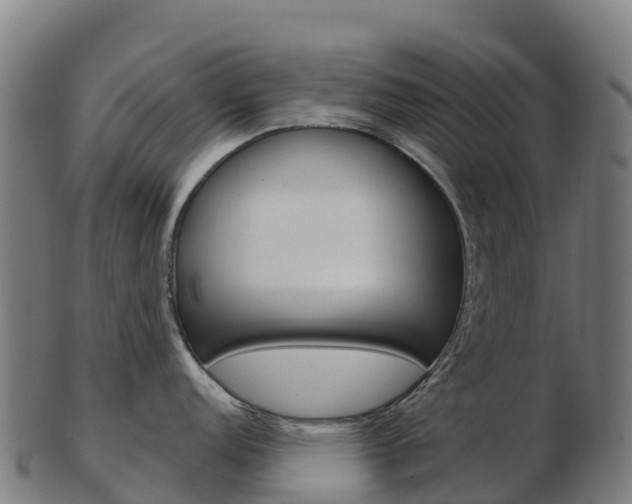 X0000103461152200809121052