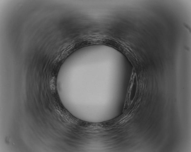 X0000103461156200809121051