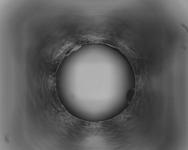 X0000103461157200809121051