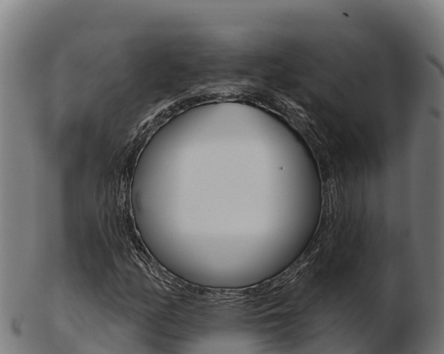 X0000103461158200809121051