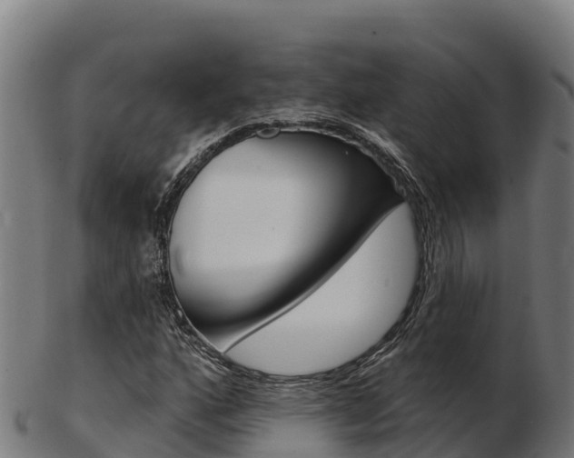 X0000103461160200809121051