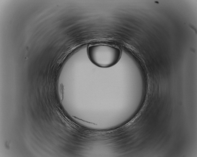 X0000103461161200809121051