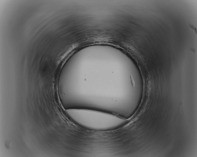 X0000103461162200809121051