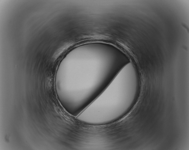 X0000103461163200809121051