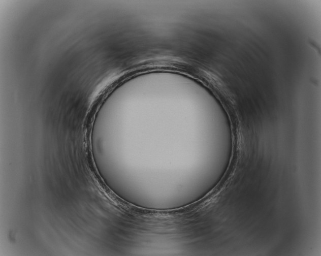 X0000103461164200809121051