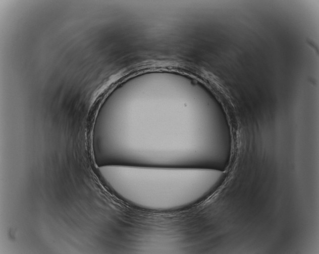 X0000103461165200809121051