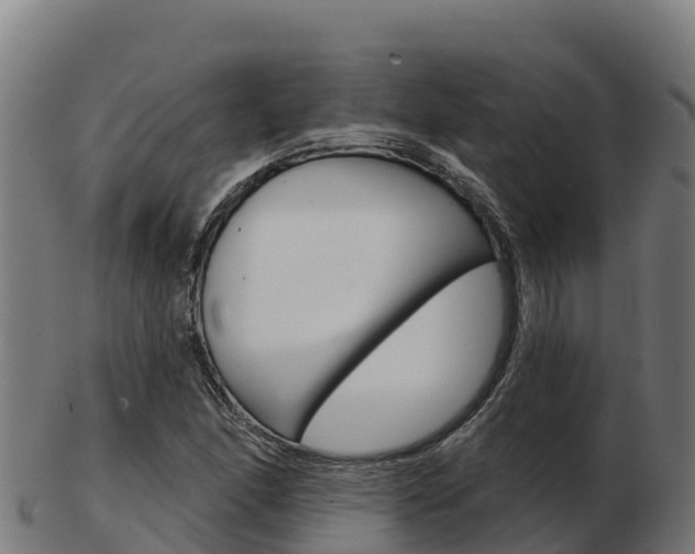 X0000103461166200809121051