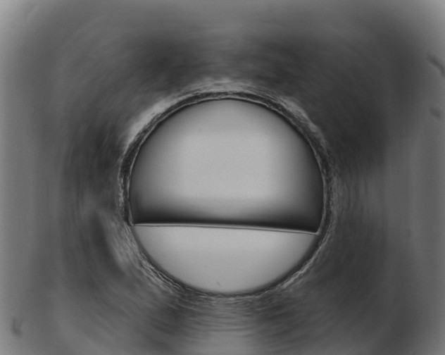 X0000103461167200809121051