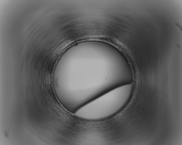 X0000103461169200809121051