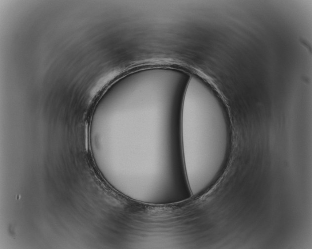 X0000103461171200809121051