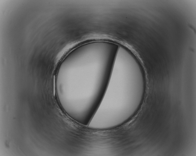 X0000103461175200809121051