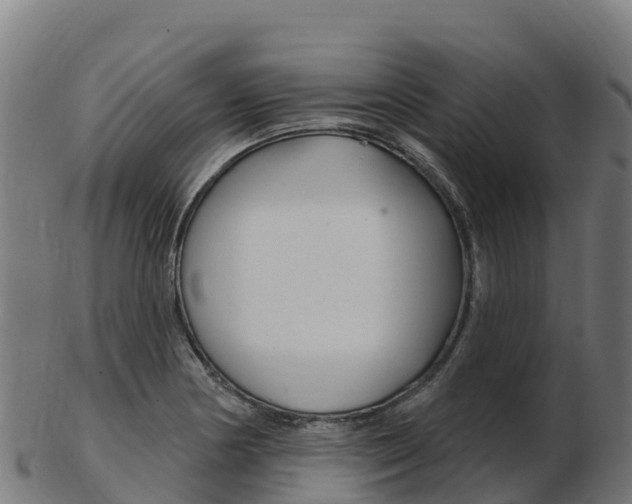 X0000103461178200809121051