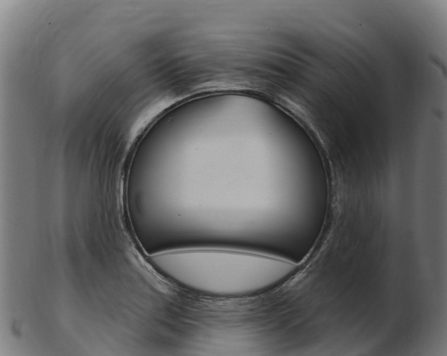 X0000103461179200809121051