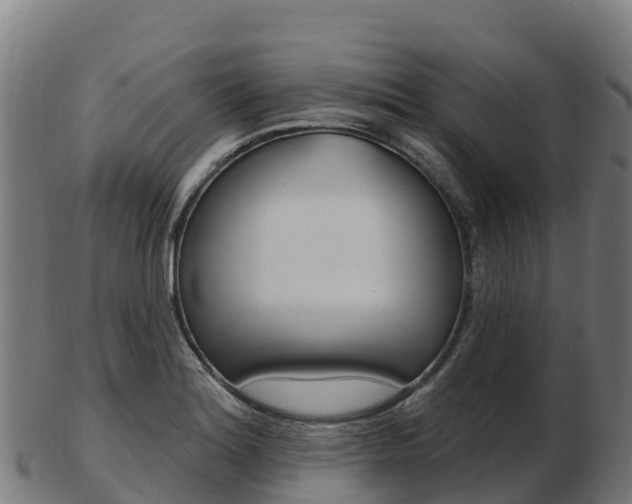 X0000103461180200809121051