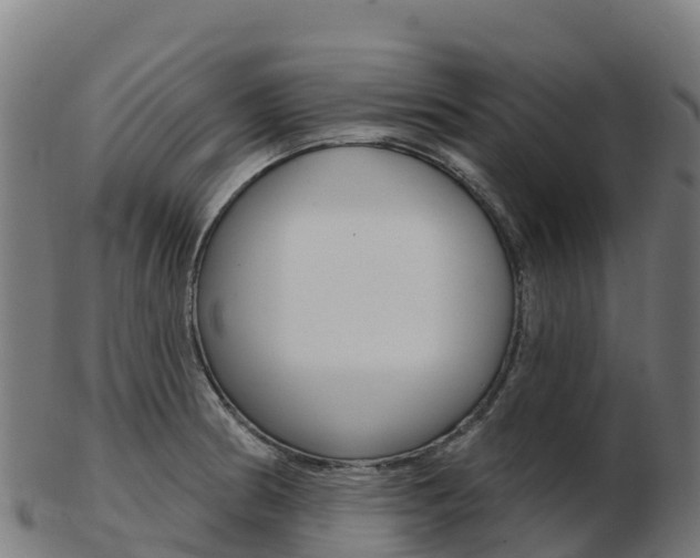 X0000103461186200809121051