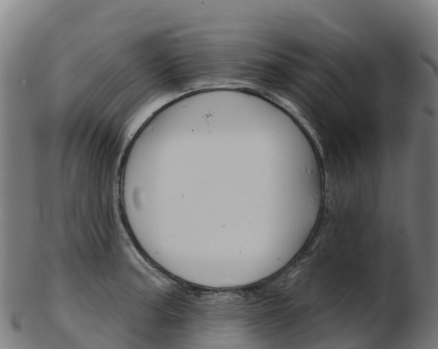 X0000103461187200809121051