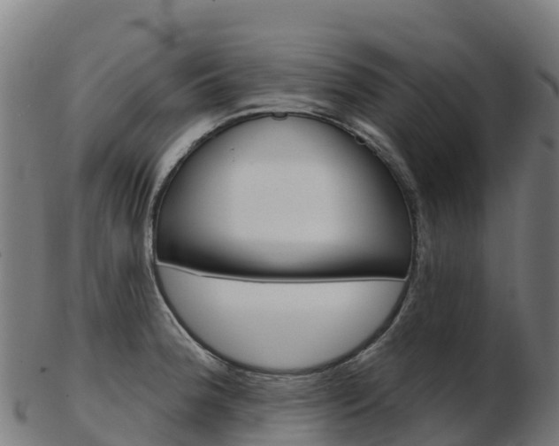 X0000103461188200809121051