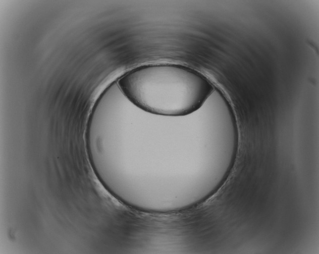 X0000103461189200809121050