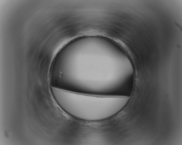 X0000103461191200809121050