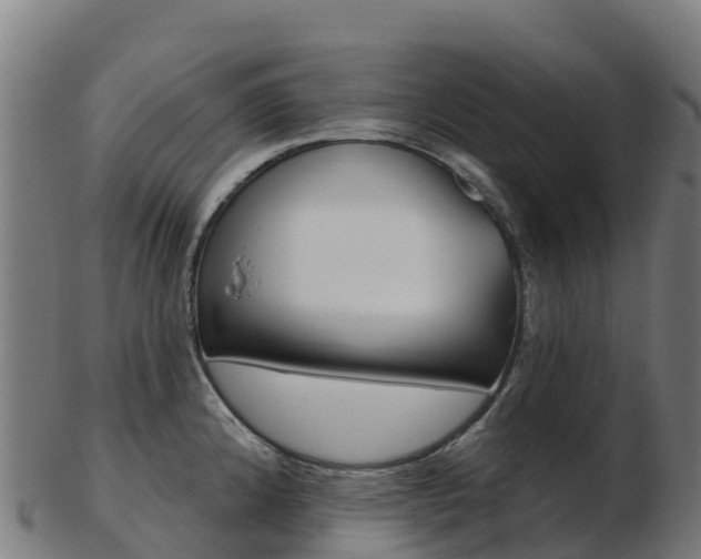 X0000103461192200809121050
