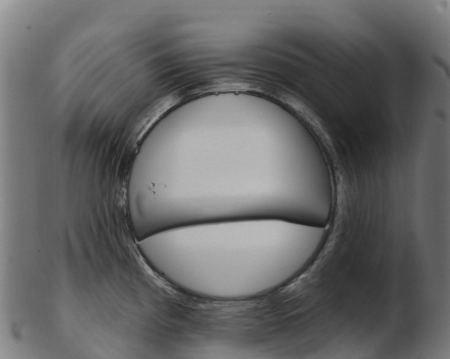 X0000103461193200809121050