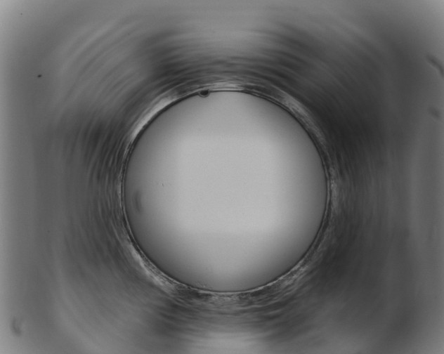 X0000103461194200809121050