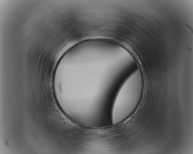 X0000103461197200809121050