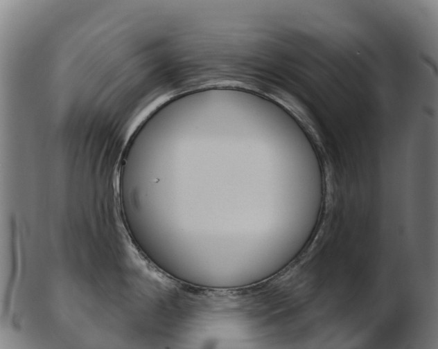 X0000103461198200809121050
