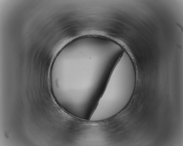 X0000103461199200809121050