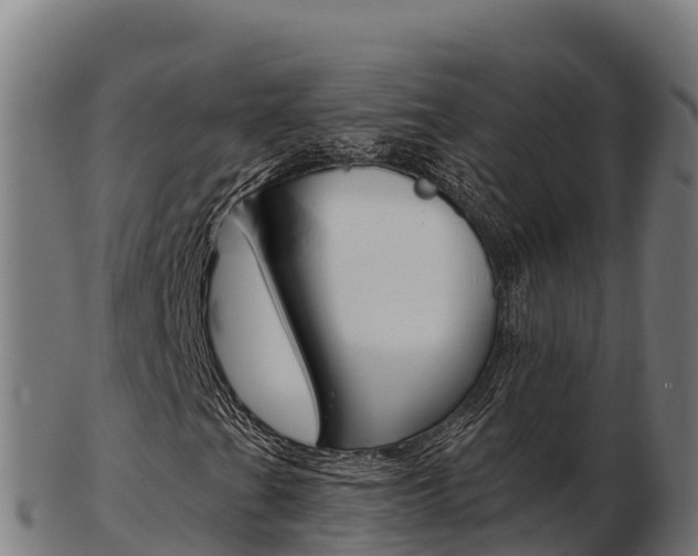 X0000103461201200809121050