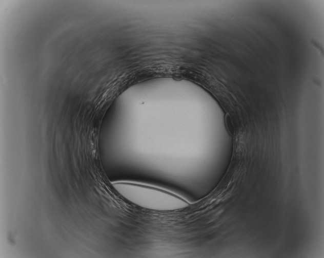 X0000103461202200809121050