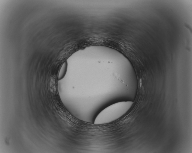 X0000103461203200809121050