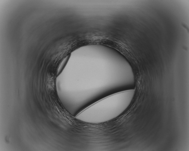 X0000103461204200809121050