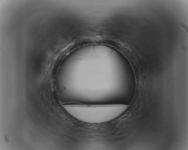 X0000103461205200809121050