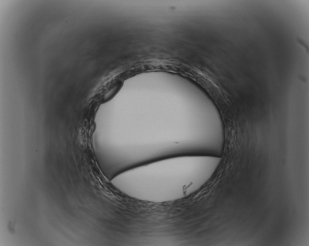 X0000103461207200809121050
