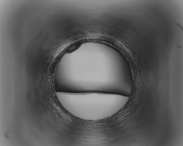 X0000103461208200809121050