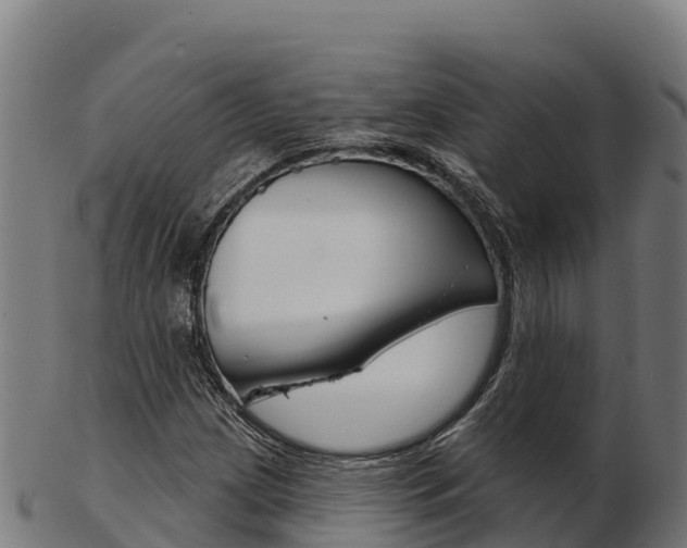 X0000103461209200809121050