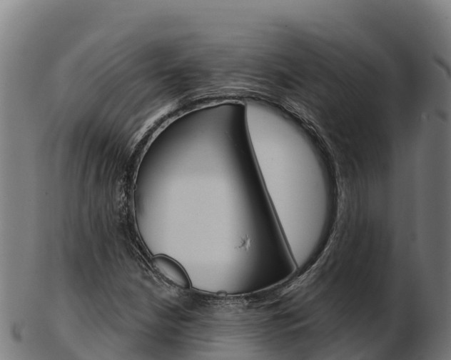 X0000103461210200809121050